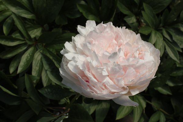 New Day - Image 12