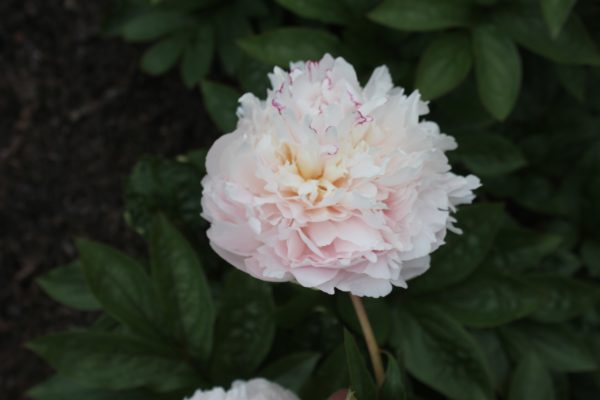 New Day - Image 10