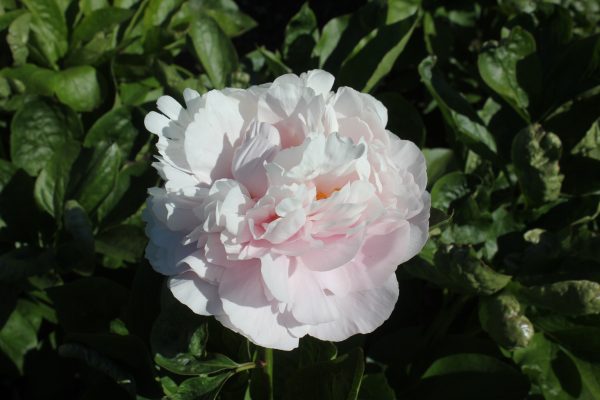 To the Limit - Image 11