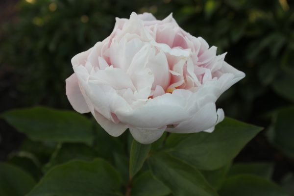 To the Limit - Image 10