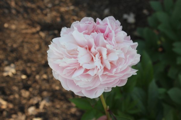 Ministry - Image 11