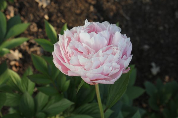 Ministry - Image 12
