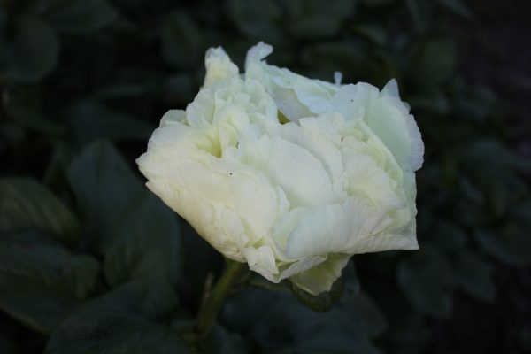 Unbelievable - Image 5